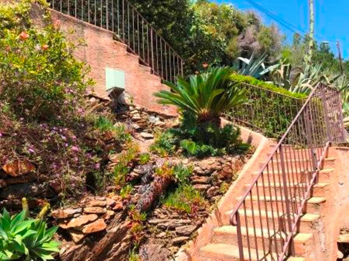 Villa Les Alizes Le Le Rayol-Canadel-sur-Mer Buitenkant foto