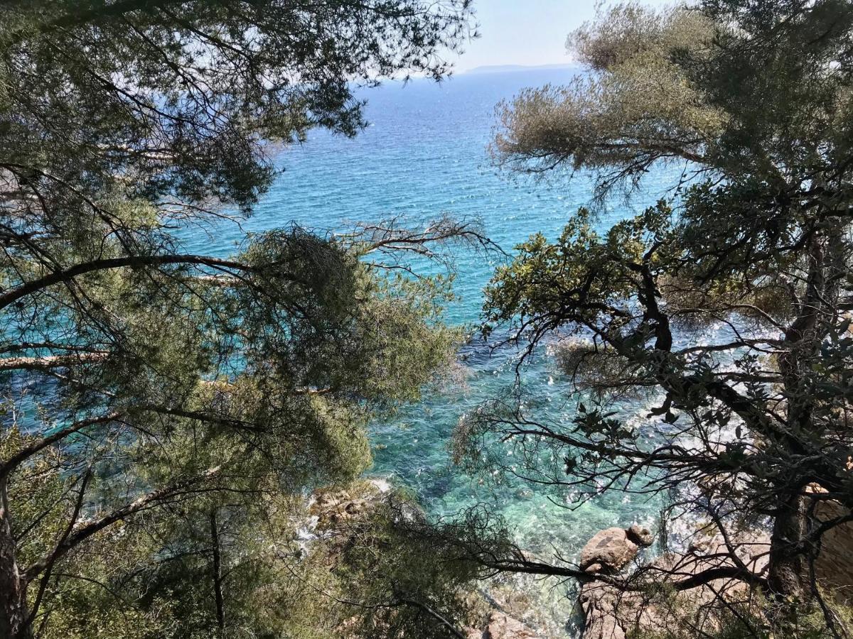 Villa Les Alizes Le Le Rayol-Canadel-sur-Mer Buitenkant foto
