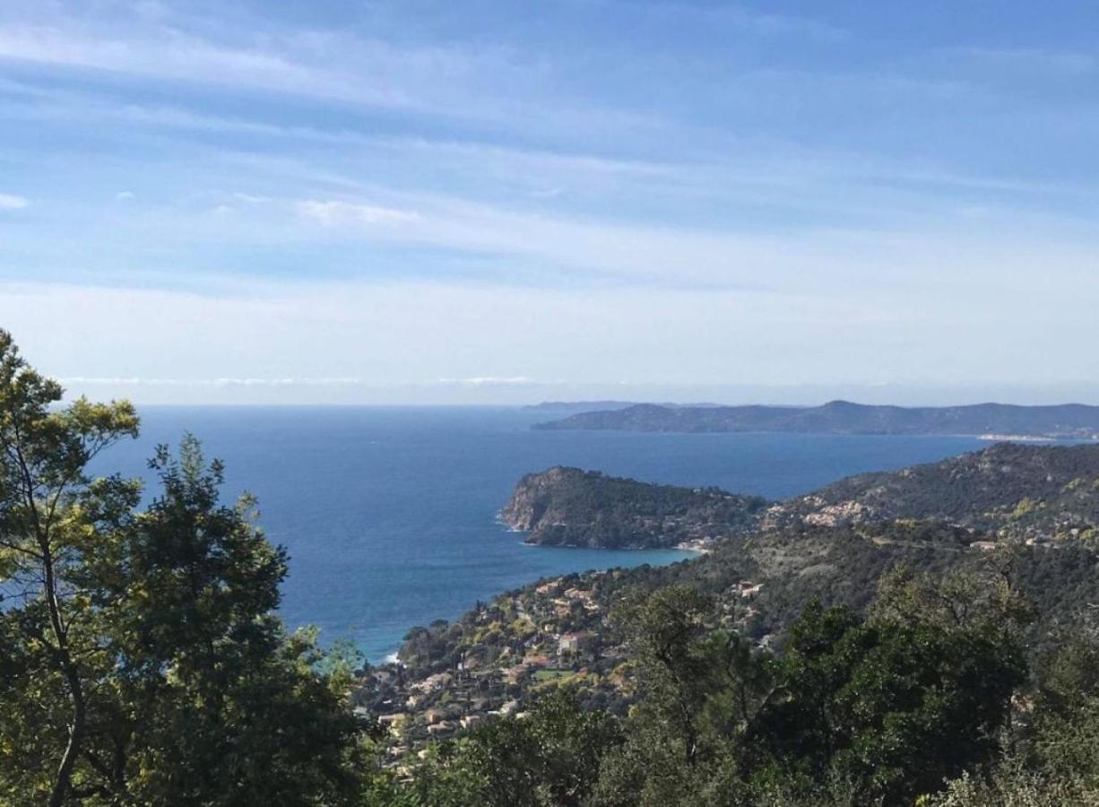 Villa Les Alizes Le Le Rayol-Canadel-sur-Mer Buitenkant foto