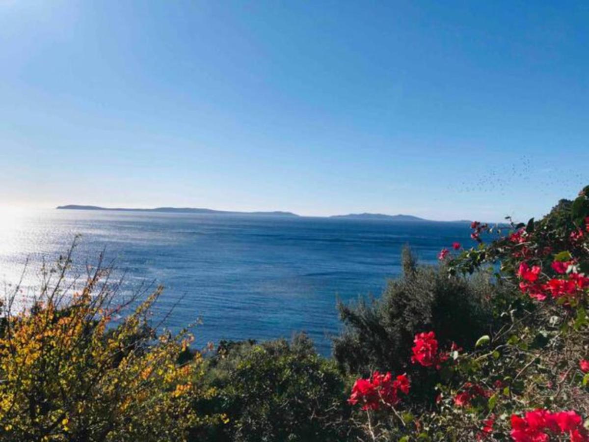 Villa Les Alizes Le Le Rayol-Canadel-sur-Mer Buitenkant foto