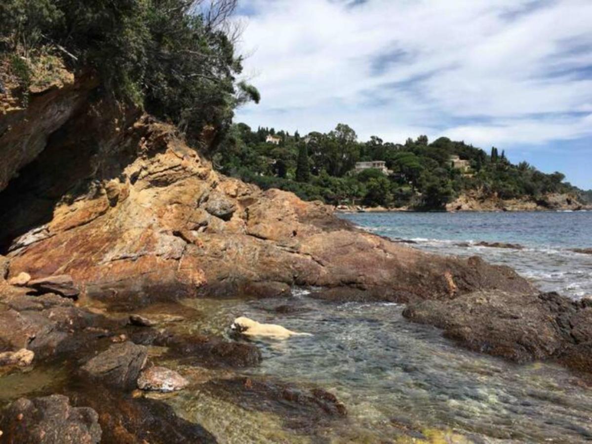 Villa Les Alizes Le Le Rayol-Canadel-sur-Mer Buitenkant foto