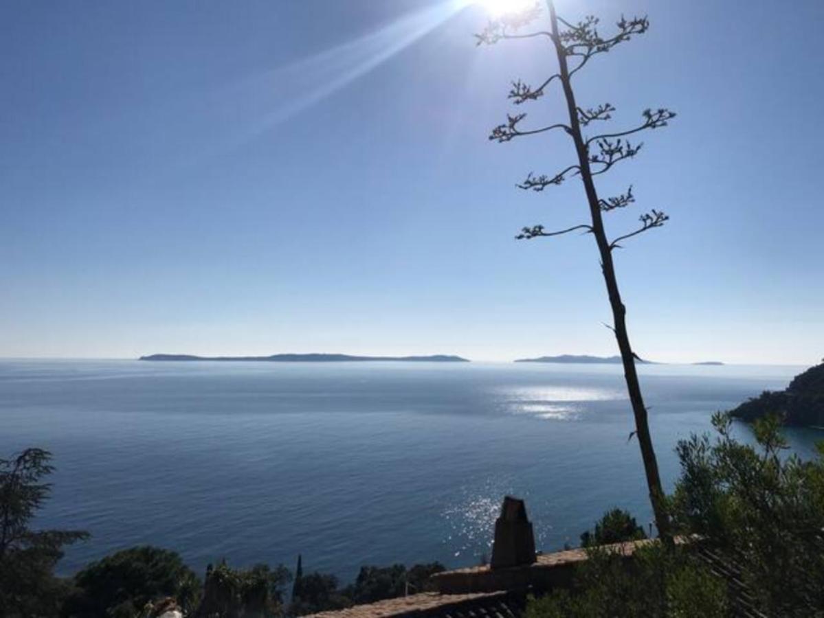 Villa Les Alizes Le Le Rayol-Canadel-sur-Mer Buitenkant foto