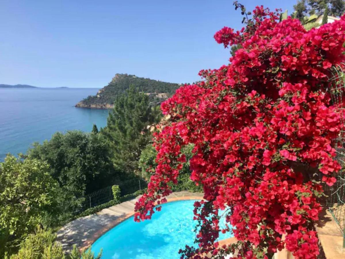 Villa Les Alizes Le Le Rayol-Canadel-sur-Mer Buitenkant foto