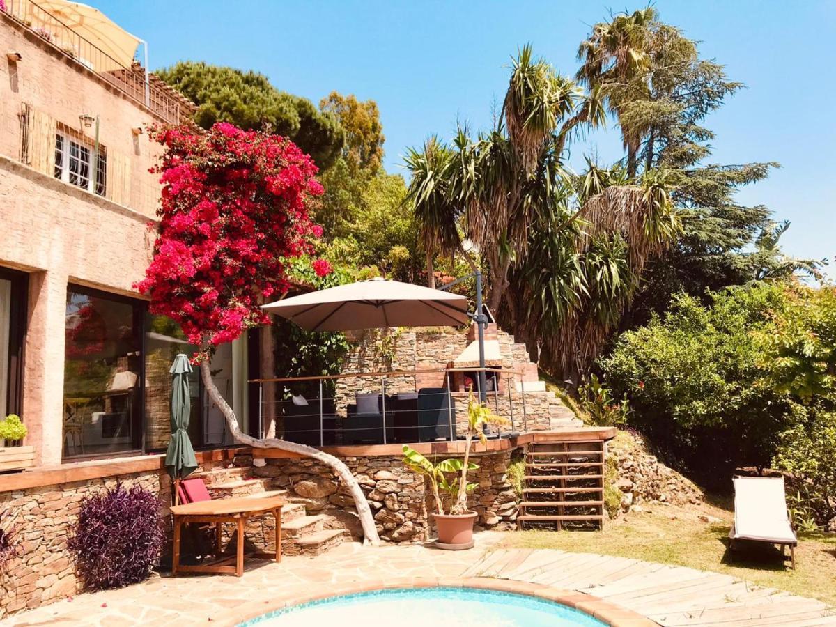 Villa Les Alizes Le Le Rayol-Canadel-sur-Mer Buitenkant foto