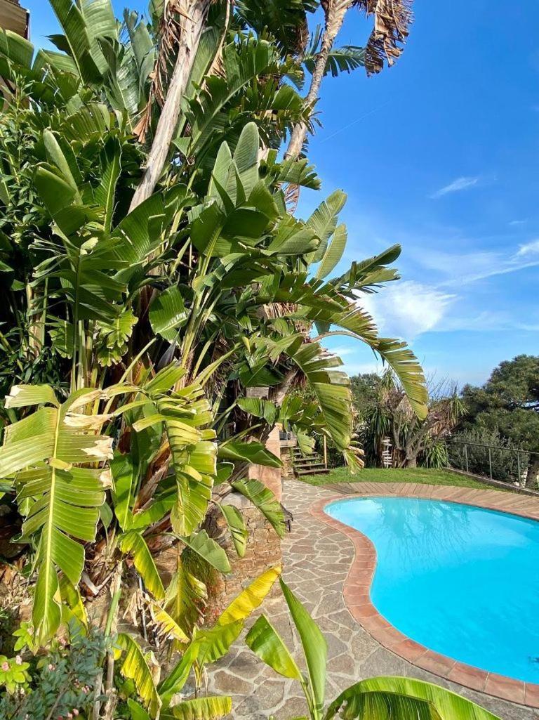 Villa Les Alizes Le Le Rayol-Canadel-sur-Mer Buitenkant foto
