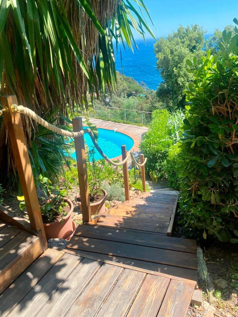 Villa Les Alizes Le Le Rayol-Canadel-sur-Mer Buitenkant foto