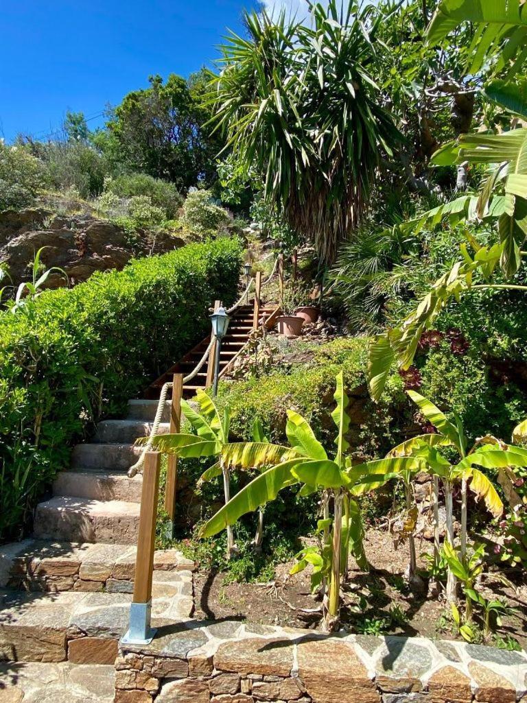 Villa Les Alizes Le Le Rayol-Canadel-sur-Mer Buitenkant foto