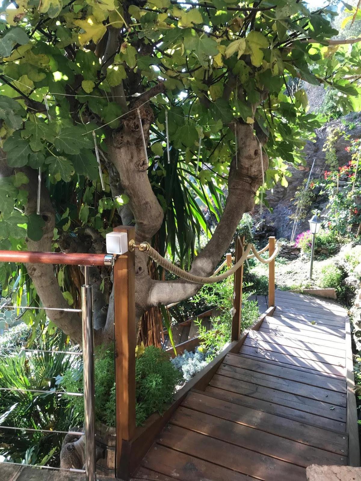 Villa Les Alizes Le Le Rayol-Canadel-sur-Mer Buitenkant foto